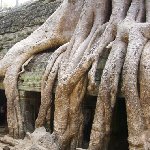 Tuk tuk temple tour in Siem Reap Angkor Cambodia Trip Photos