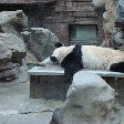 Day Trip to the Zoo in Beijing China Vacation Picture