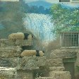 Day Trip to the Zoo in Beijing China Vacation Guide