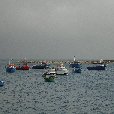 On the Coast in Cascais in Portugal Story Sharing