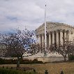 Sightseeing in Washington D.C. United States Photograph