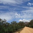 Grampians NP day trip from Melbourne Halls Gap Australia Review Picture