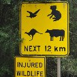 Great Ocean Road Tour from Melbourne Australia Holiday Sharing