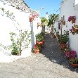   Alberobello Italy Blog Pictures