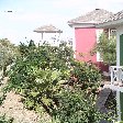 Chogogo Resort Curacao Jan Thiel Netherlands Antilles Holiday Adventure