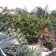 Chogogo Resort Curacao Jan Thiel Netherlands Antilles Diary Tips Chogogo Resort Curacao