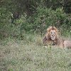   Tsavo Kenya Travel Sharing