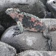 Galapagos Islands Ecuador Diary Photography