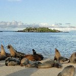 Quito to Galapagos flight Ecuador Travel Review