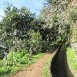   Madeira Portugal Travel Experience