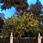 Valencia Spain