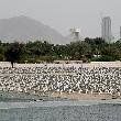 Short Vacation in Fujairah United Arab Emirates Experience