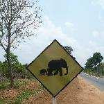Anuradhapura Sri Lanka Album