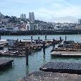 Tour San Francisco United States Travel Photos