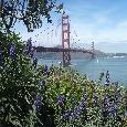 Tour San Francisco United States Travel Tips