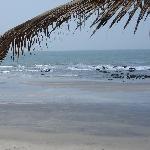 Holiday in Gambia Serrekunda Vacation Holiday in Gambia