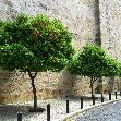 Lisbon City Tour Portugal Vacation Photo