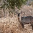 Narok Kenya