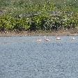Holiday on Beautiful Curacao Willemstad Netherlands Antilles Holiday Sharing