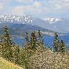 AK United States