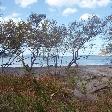 Studying abroad in Costa Rica Playa Flamingo Picture Sharing