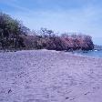 Studying abroad in Costa Rica Playa Flamingo Adventure