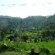 Bandarawela Sri Lanka by Train Album