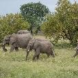 Drifters Kruger Park Safari South Africa Johannesburg Travel Experience