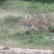 Hambantota Sri Lanka