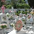 Samos Greece Holiday Blog Experience