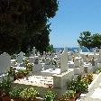 Samos Greece Holiday Review Photograph