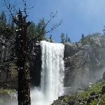 Touring Yosemite National Park United States Holiday Photos
