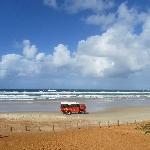 Photo  Fraser Island Australia