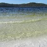   Fraser Island Australia Blog Experience