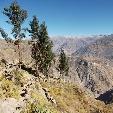 Adventure Travel Colca Canyon Peru Travel Photo