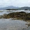   Scotland United Kingdom Blog Information