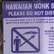 Hawaii Honeymoon United States Travel Photographs
