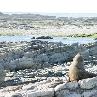 Kaikoura New Zealand