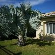 Rental Villa on Curacao Willemstad Netherlands Antilles Vacation Photos