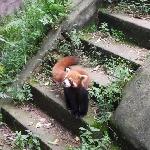 Chengdu China