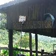 Costa Rica Trekking Monteverde Holiday Adventure