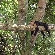 Cahuita Costa Rica