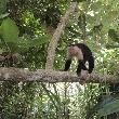 Cahuita Costa Rica