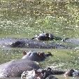 Kruger National Park South Africa Travel Gallery