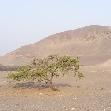 Tour Nazca Valley Peru Review Photograph