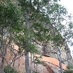 Trip Sigiriya Sri Lanka Review Sharing