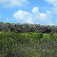 Bonaire Island Netherlands Antilles 