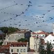 A weekend in Lovely Lisbon Portugal Trip Photos