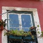 A weekend in Lovely Lisbon Portugal Trip Guide