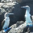 Galapagos Islands Ecuador Blog Review